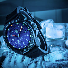 Load image into Gallery viewer, Luminox LM1003