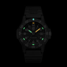Load image into Gallery viewer, Luminox LM0301