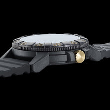 Load image into Gallery viewer, Luminox LM0325.GP