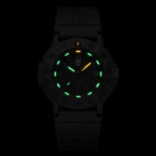 Load image into Gallery viewer, Luminox LM3001.EVO.BO