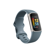 Load image into Gallery viewer, Fitbit Charge 5 Steel Blue Platinum
