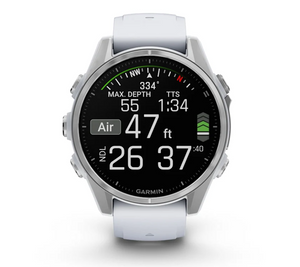 Garmin Fenix 8 AMOLED 43mm Stainless Steel Silver with Whitestone Silicone Band