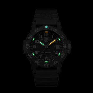 Luminox LM0301