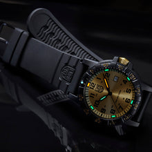 Load image into Gallery viewer, Luminox LM0325.GP
