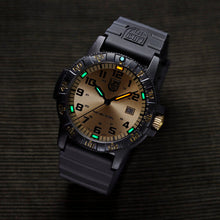 Load image into Gallery viewer, Luminox LM0325.GP
